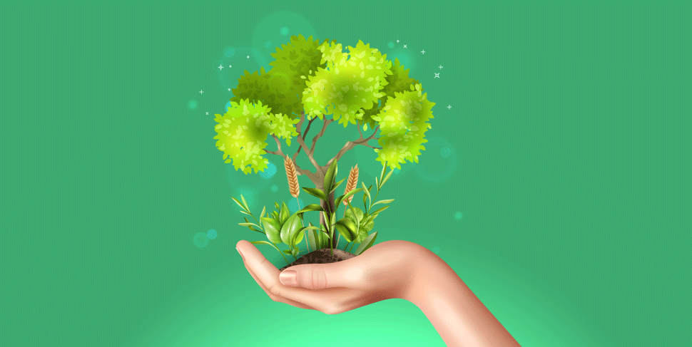save tree